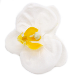 25x Ambachtelijke Zeepbloem- Orchideeee - Wit