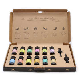 Aromatherapie Etherische Olie Set - De Top 12