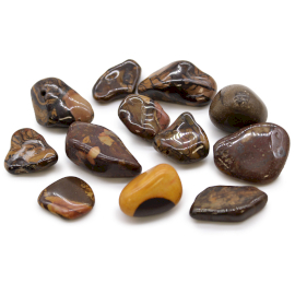 12x Medium Afrikaanse Edelstenen - Afbeelding Nguni