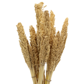 6x Sorghum Grasbos - Naturel