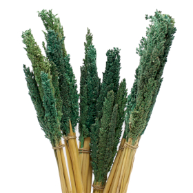 6x Sorghum Grasbos - Teal