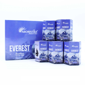 12x Pak van 10 Masala Terugstroom Wierook - Everest