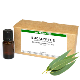 10x Eucalyptus Biologische Essentiële Olie 10ml - ONGELABELD