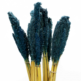 6x Sorghum Grasbos - Blauw