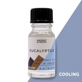 10x Huis Parfum/Geur Olie - 10ml - Eucalyptus
