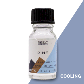 10x Huis Parfum/Geur Olie - 10ml - Pijnboom