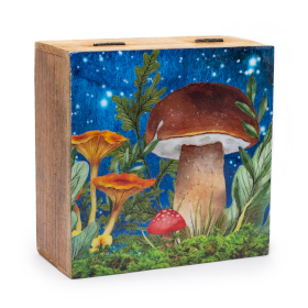 Grote Vierkante Doos 15x17.5x8cm - Paddenstoel Design Blauwgroen