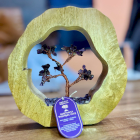 Boomtuin Edelsteen - Mango Houten Ring - Amethist - 60 steentjes
