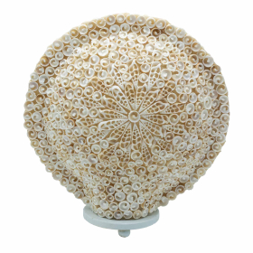 Boho Zee Schelplamp – Gesneden Kunstschelp Groot Rond – 30cm