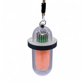 Buitenlamp met Vlam-effect -Wit