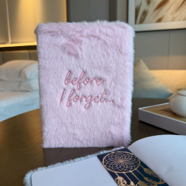 Droomdagboek 80blz – Before I Forget