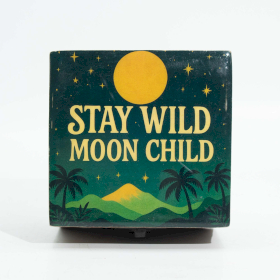Kleine Geëmailleerde Doos – Stay Wild Moon Child