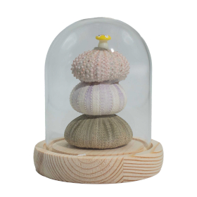 Floral Glow Tuinkoepel – 3 Zee-Egels – LED USB