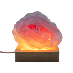 3x 8 cm Vierkante Houten USB LED Standaard - Koel/Warm/Daglicht