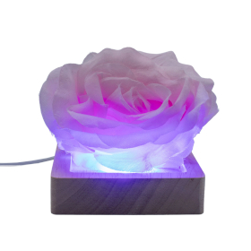 3x 8 cm Vierkante Houten USB LED Standaard - Meerkleurig
