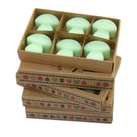 5x Doos met 6 Sojawas Melts - Zoethout