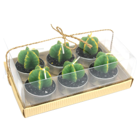 Set van 6 Theelichtjes 6 - Monniken Cactus - in Geschenkdoos