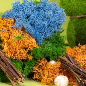 Bulk Decoratief Mos