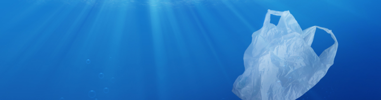 Kosten van Plastic Zakken