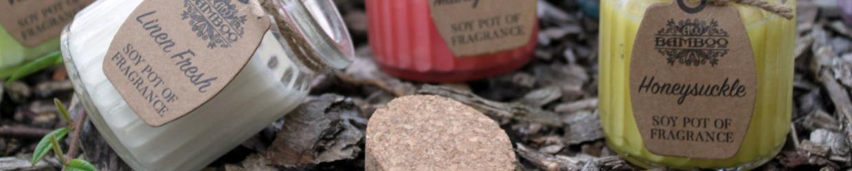 Soja Geurkaars in Pot